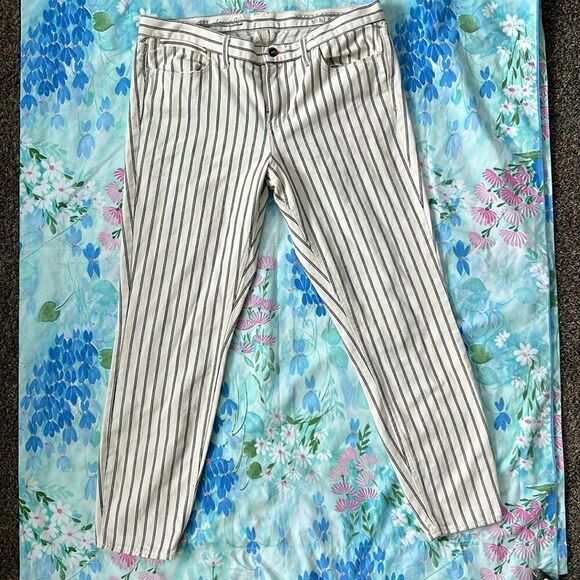 Madewell Skinny Skinny Ankle Jeans in Twin Stripe - 32 - Picture 1 of 12